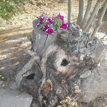 Alojamento de Acomodação e Pequeno-almoço Bella Vista Dorgali
