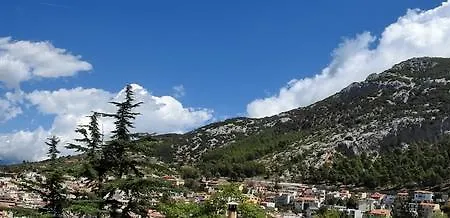 Bella Vista