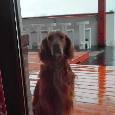 Alojamento de Acomodação e Pequeno-almoço Bella Vista *