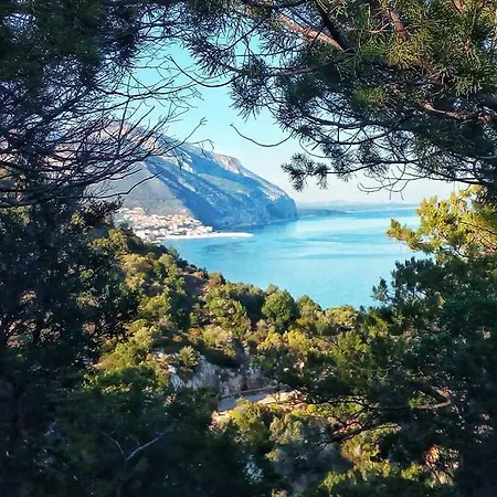 Bella Vista