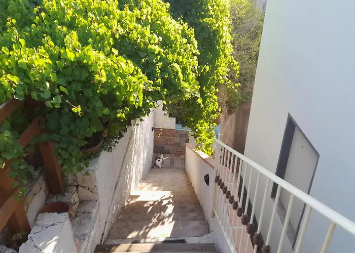 Bed & Breakfast Bella Vista